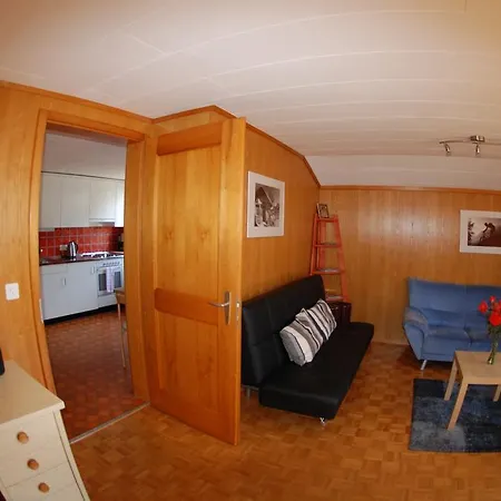 杜巴瑟木屋旅馆 格林德瓦